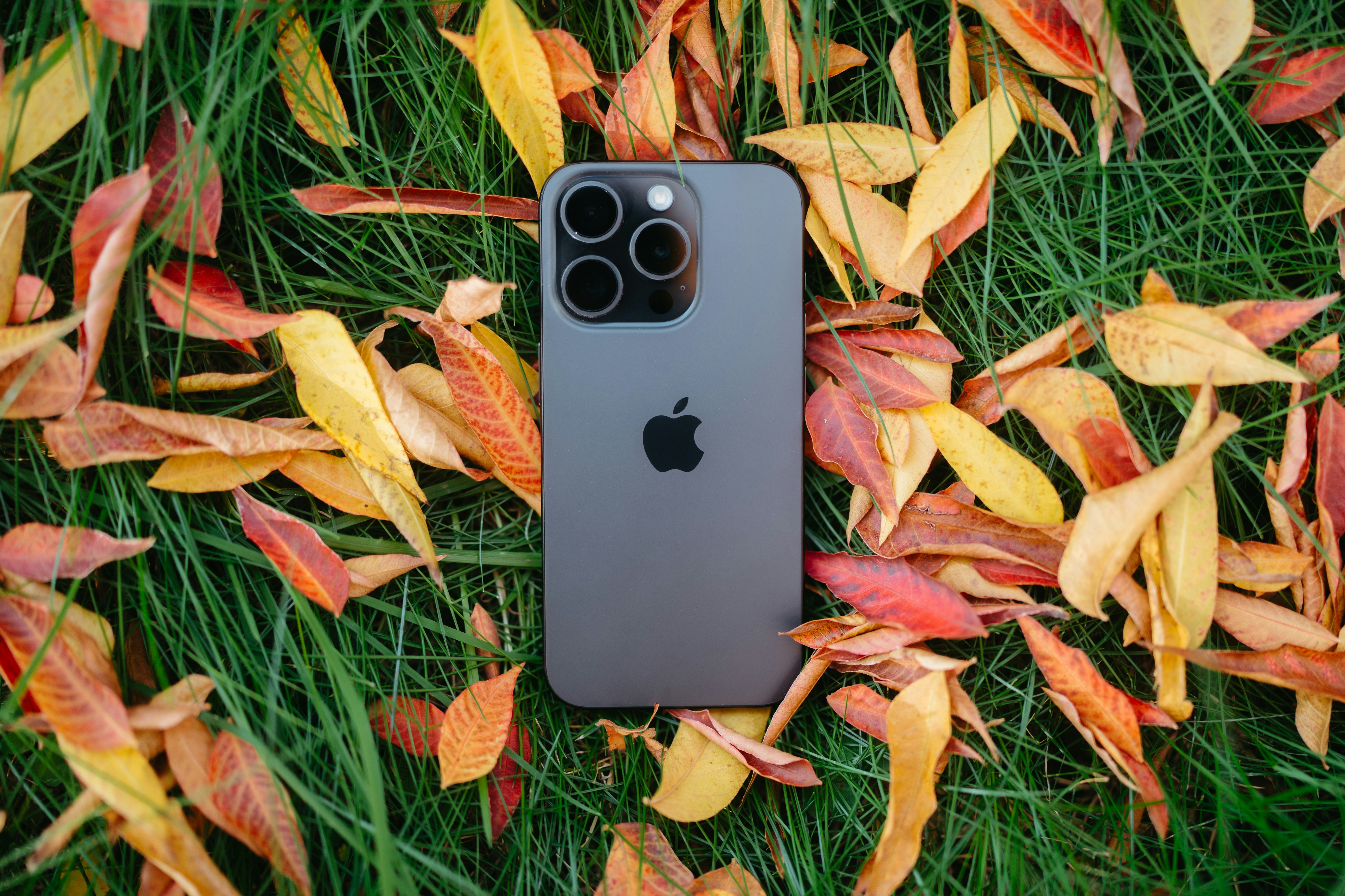 I phone 16